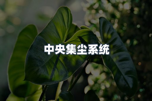 中央集尘系统