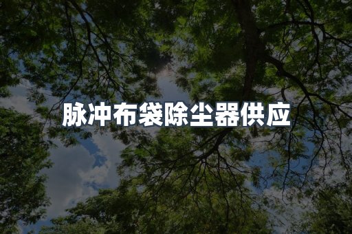 脉冲布袋除尘器